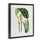 Stupell Industries Pond Plant Study Framed Floater Canvas Wall Art Design by Tina Higgins Designs, Inc.